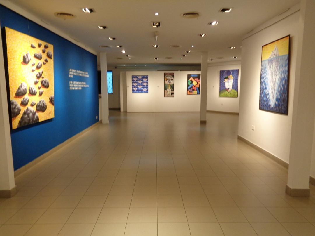 Museo y Centro Cultural Culturarte景点图片