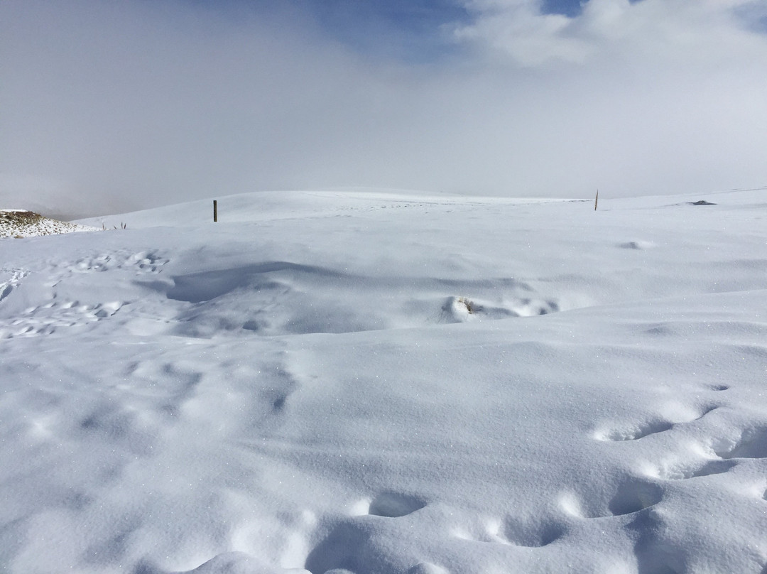 Roundhill Ski Area-特卡波湖必去景点