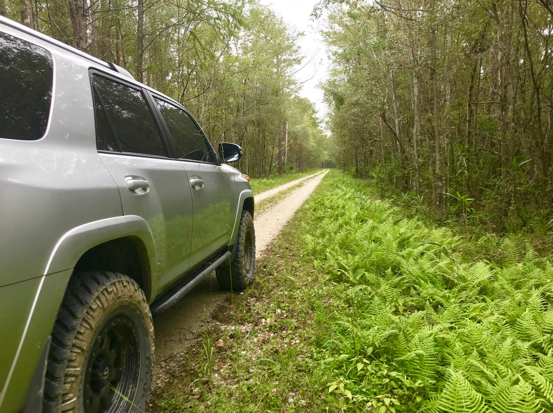 Francis Marion National Forest-Huger必去景点
