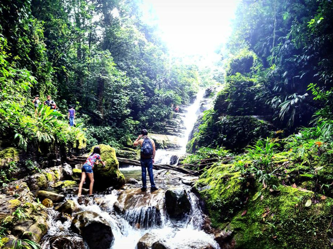 Catarata De Ishipashiari