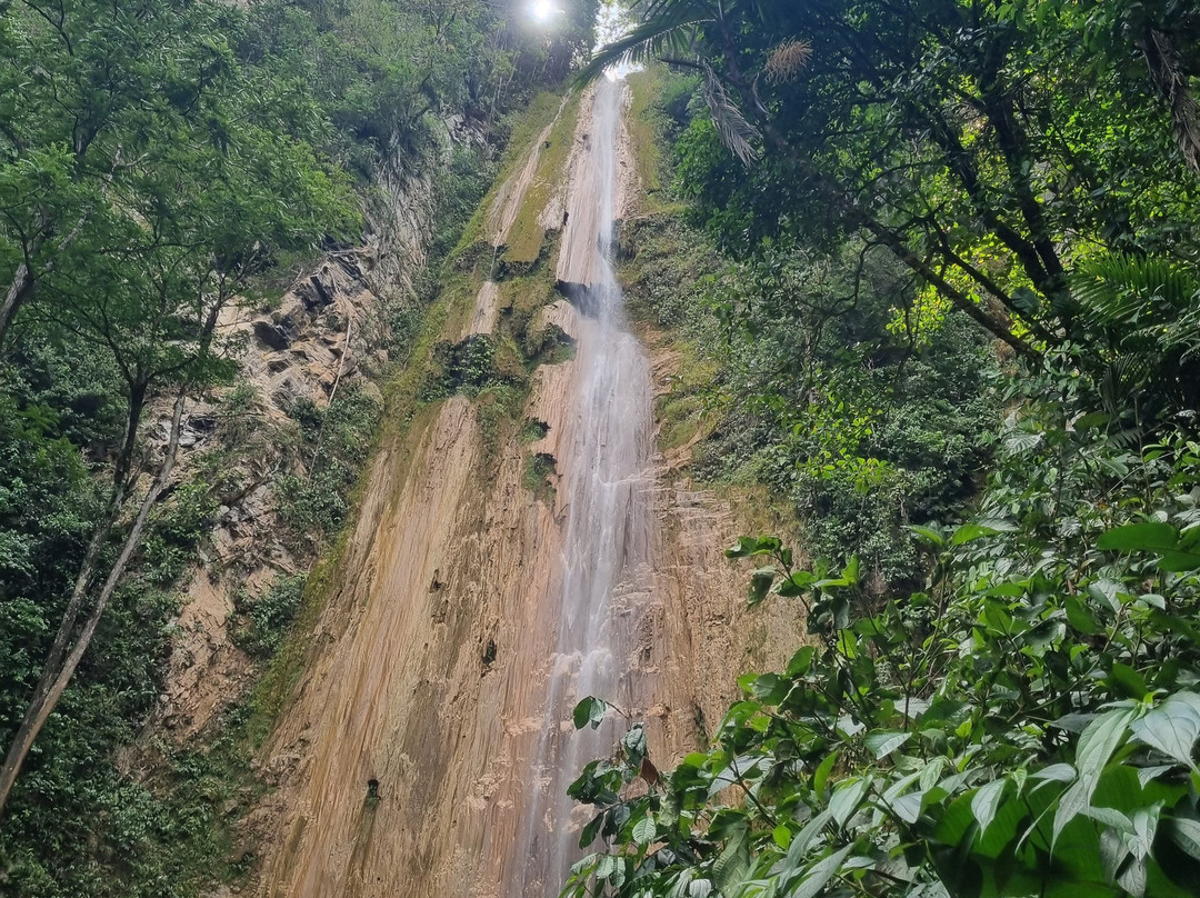 Catarata Delfin