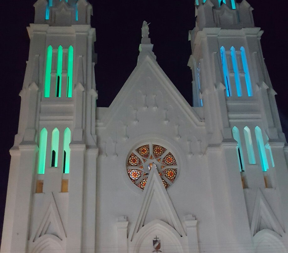 Catedral Nuestra Señora del Carmen景点图片