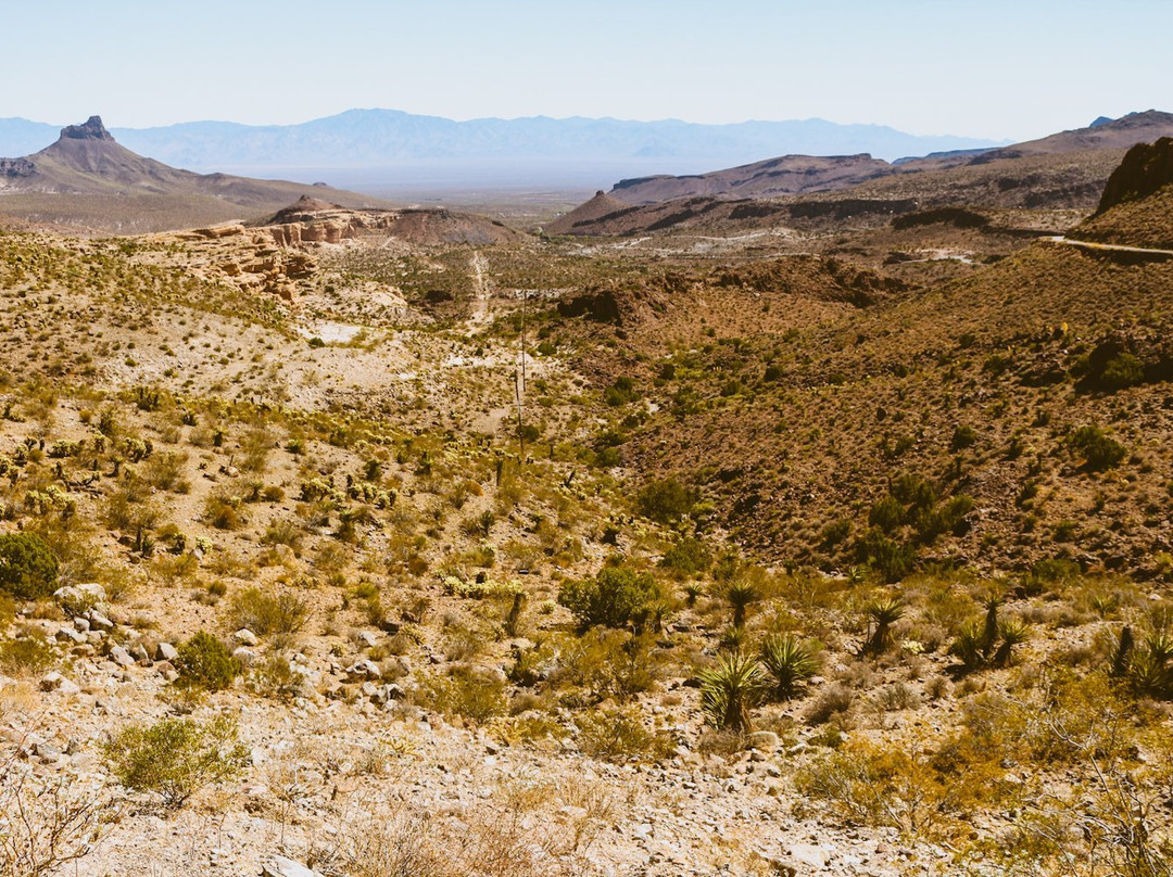 Hualapai Mountain Park景点图片