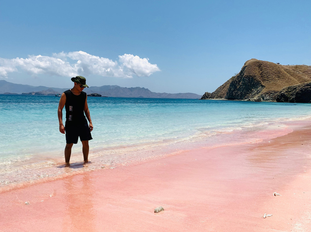 Spectacular Komodo Tours景点图片