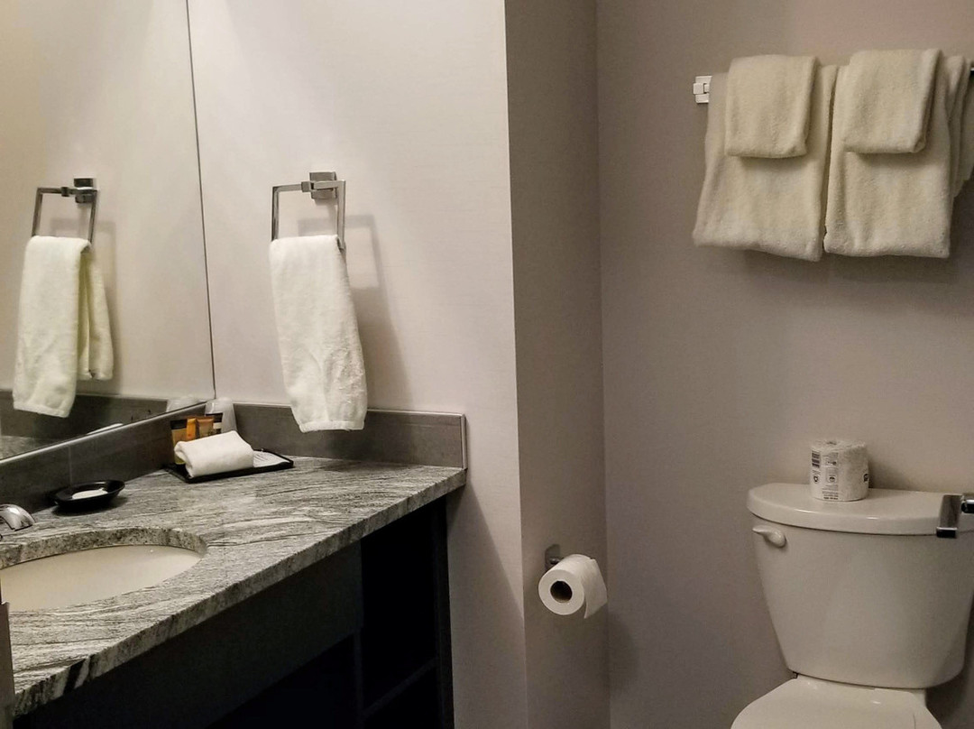 Park Inn by Radisson, Leduc, AB主图