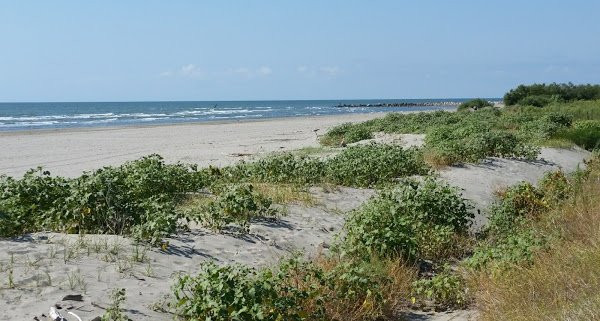 Spiaggia delle conchiglie景点图片
