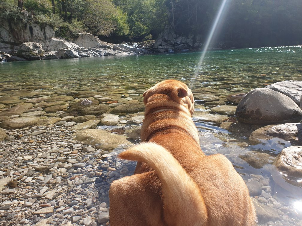 Rio Dobra-Cangas de Onis必去景点