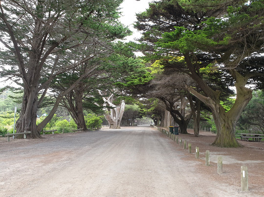 Cypress Avenue-洛恩必去景点
