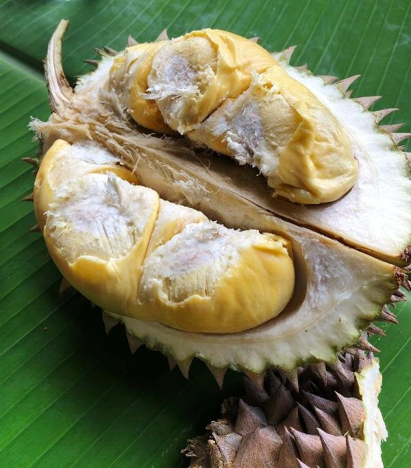 Green Acres-浮罗山背必去景点