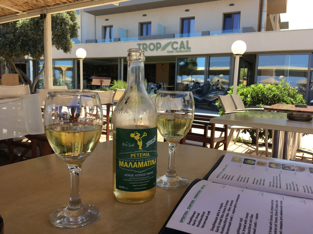 Tropical Hotel主图