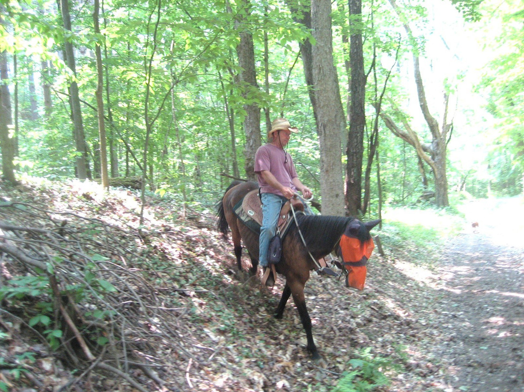 Adventure Horse Riding in NYS景点图片