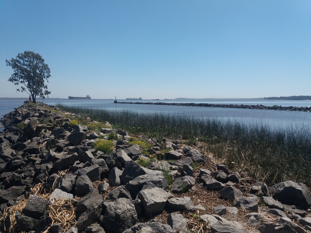 Muelle Antiguo y playa景点图片