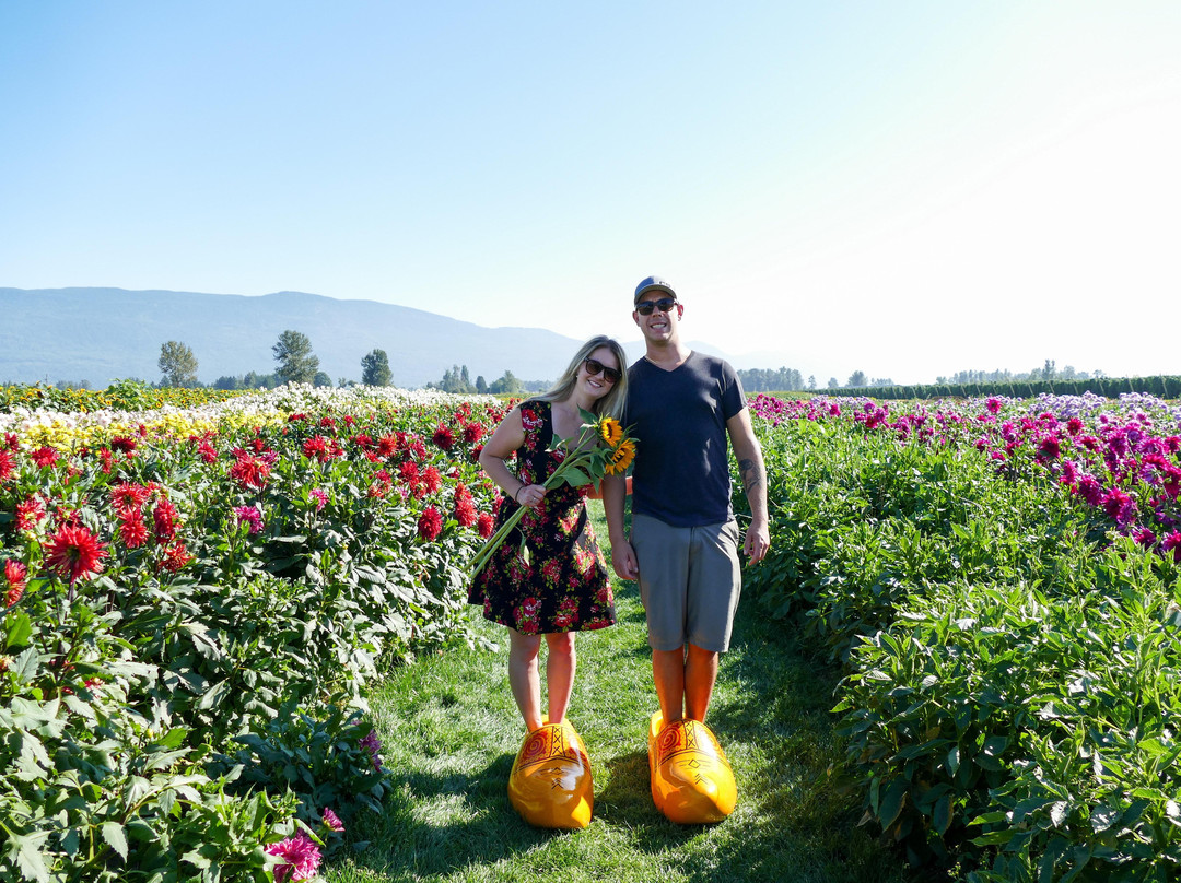 Beyond Bubbles Tours-Langley Township必去景点