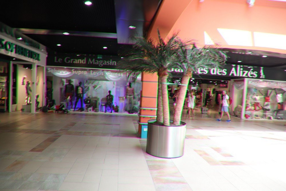 Cour Perrinon-法兰西堡必去景点