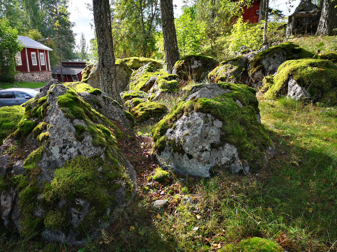 Sahanlahden Lohkaremaasto