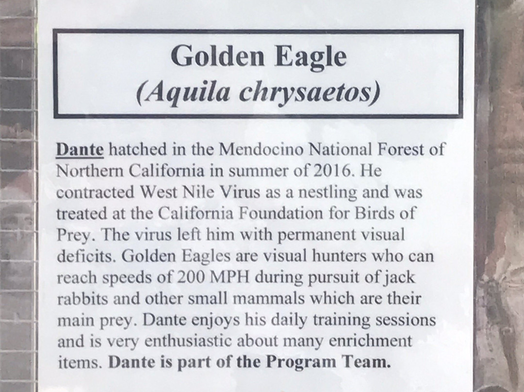 卡斯卡底猛禽中心-尤金必去景点