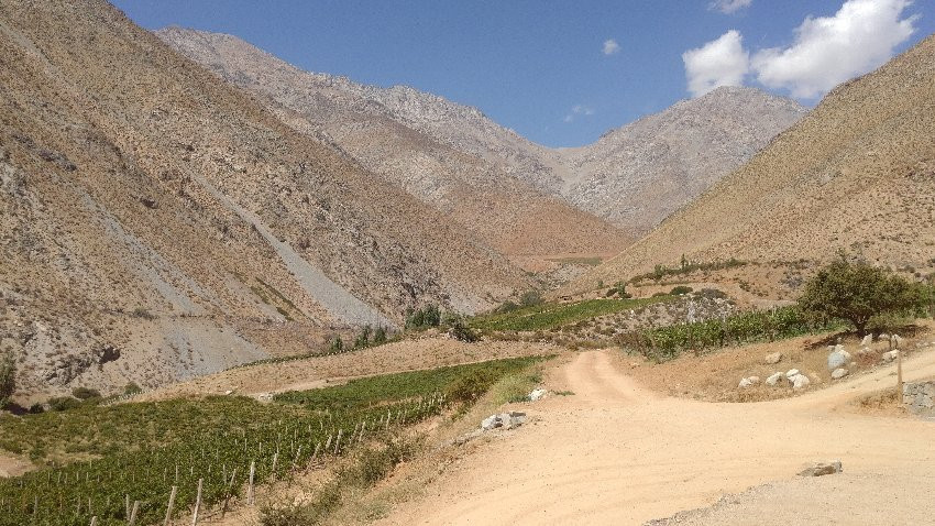 Alcohuaz Vineyards景点图片