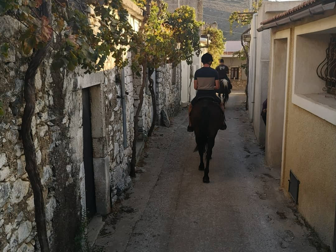 Fourni Horses-Fourni必去景点