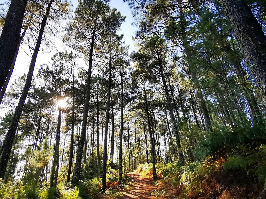 Parque Natural Monte Aloia-图伊必去景点