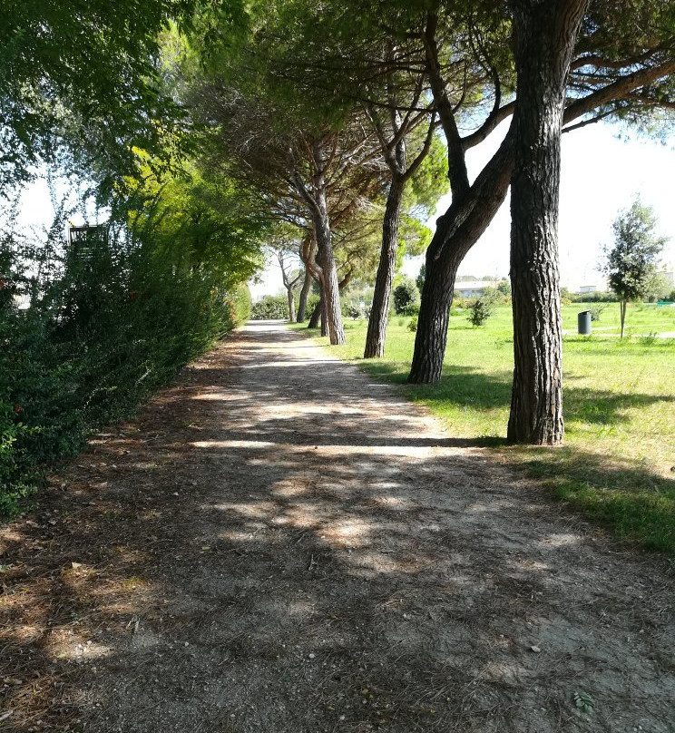 Parco Pegaso-Lido di Jesolo必去景点