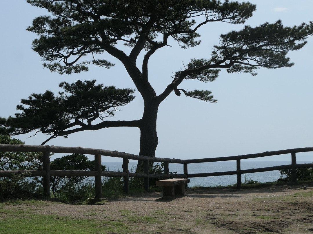 Tateishi Park景点图片