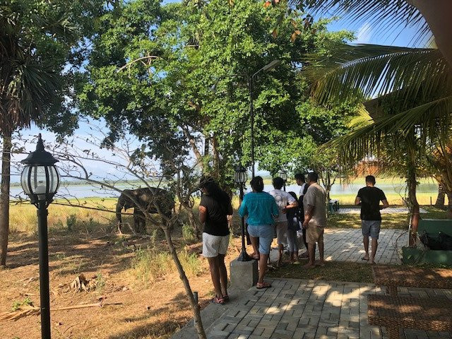 湖泊公园酒店主图