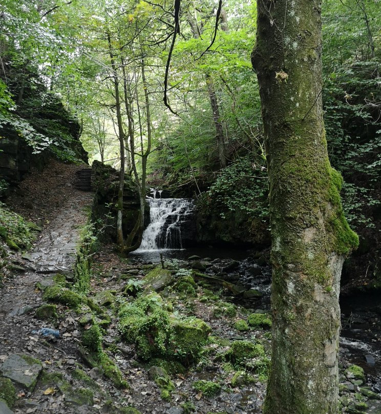 Gorpley Clough  Local Nature Reserve景点图片