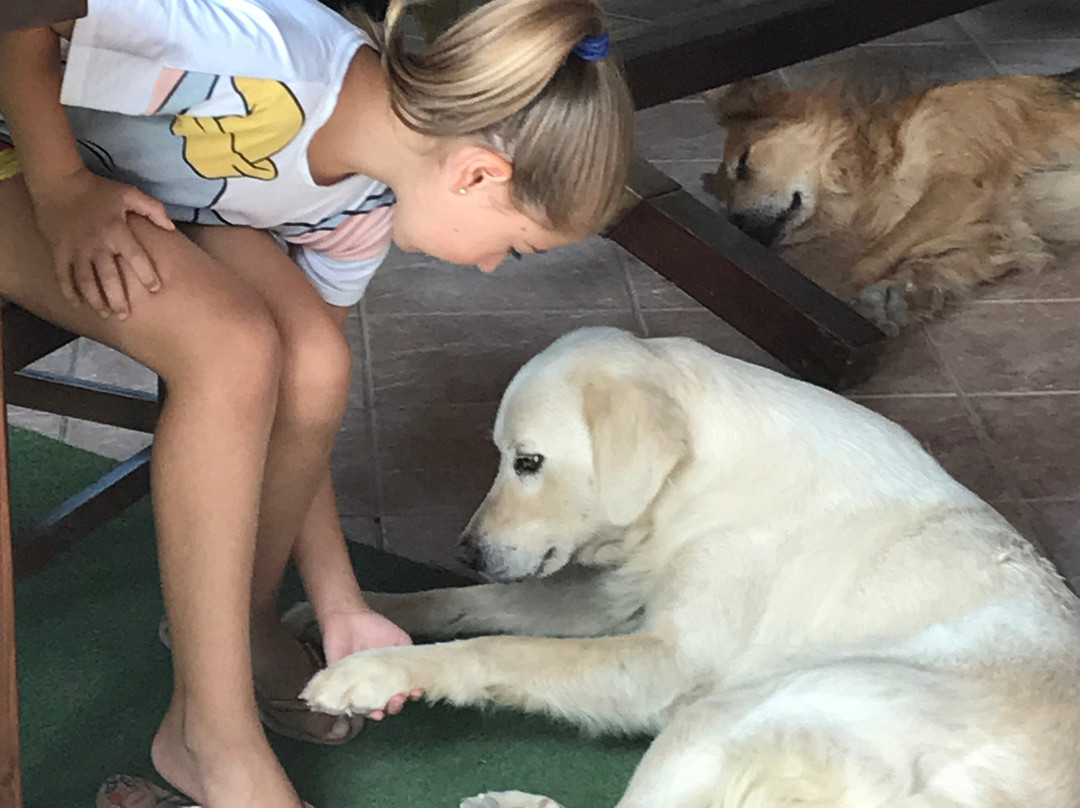 Casato Calabrese主图