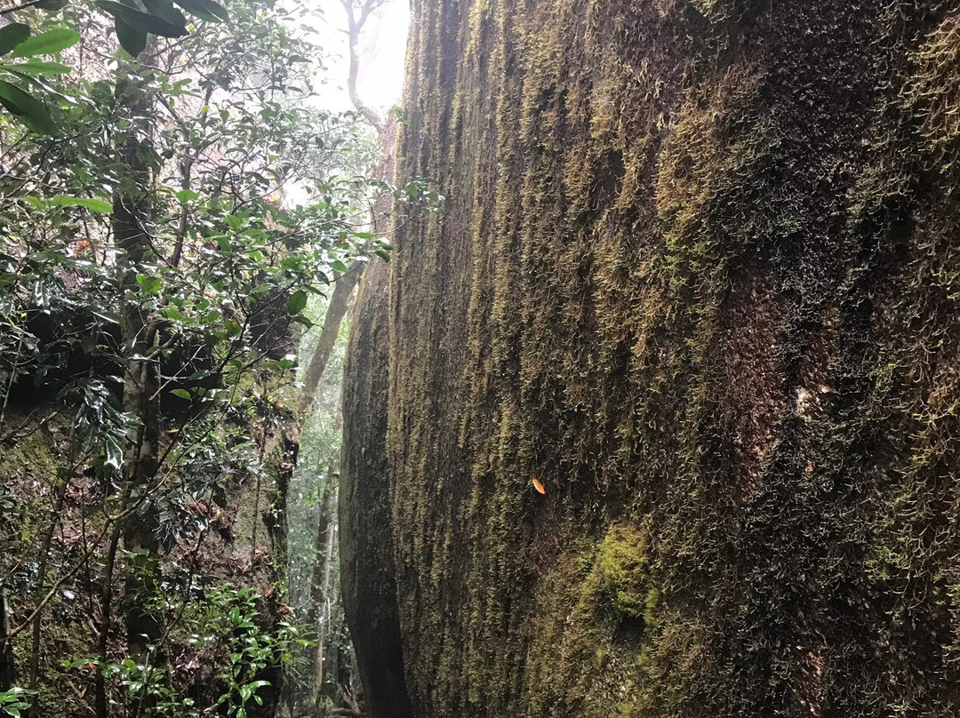 Lambs Head (Kahlpahlim Rock)景点图片