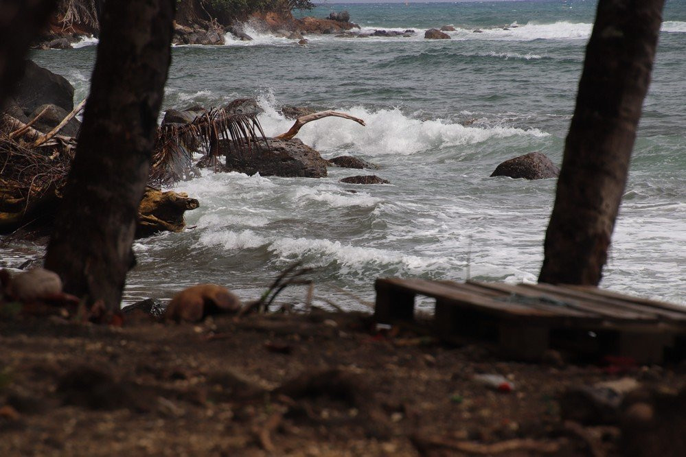 Plage de Bananier-Capesterre-Belle-Eau必去景点