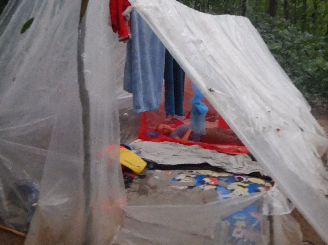 Jack Jungle Trip-Ketambe必去景点