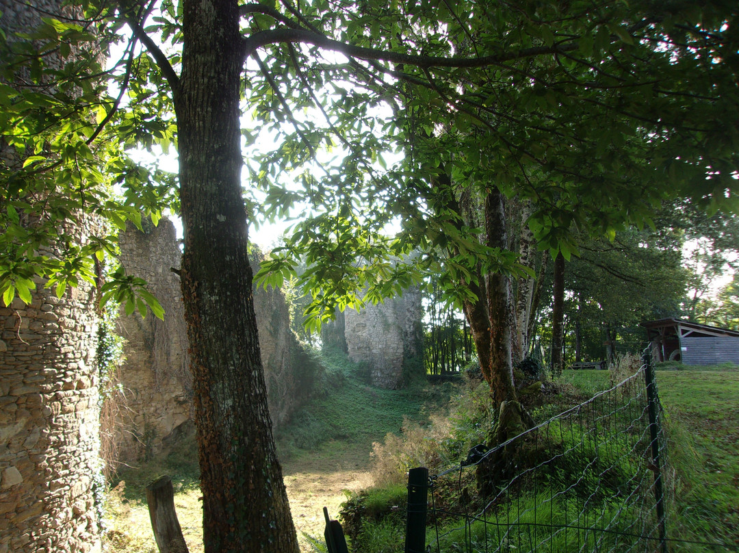 Château De Lavauguyon景点图片