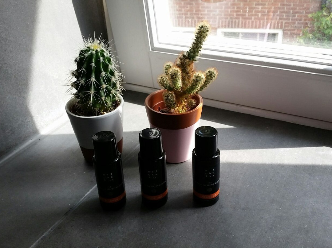 Boutique Hotel Nieuw Uilenburg主图