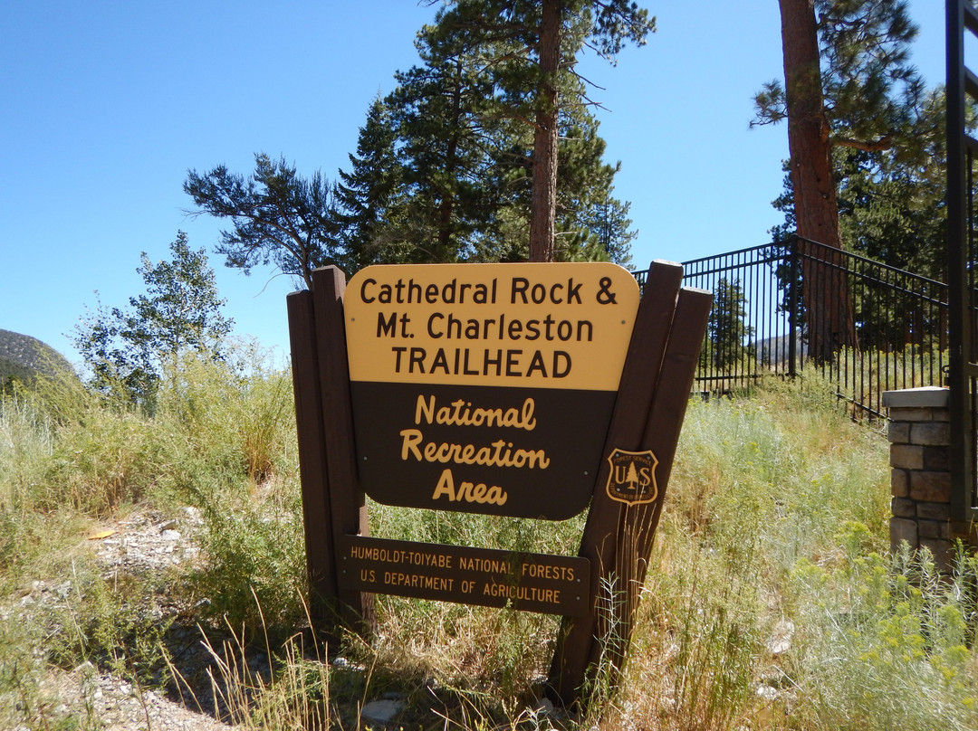 Spring Mountains National Recreational Area-Blue Diamond必去景点