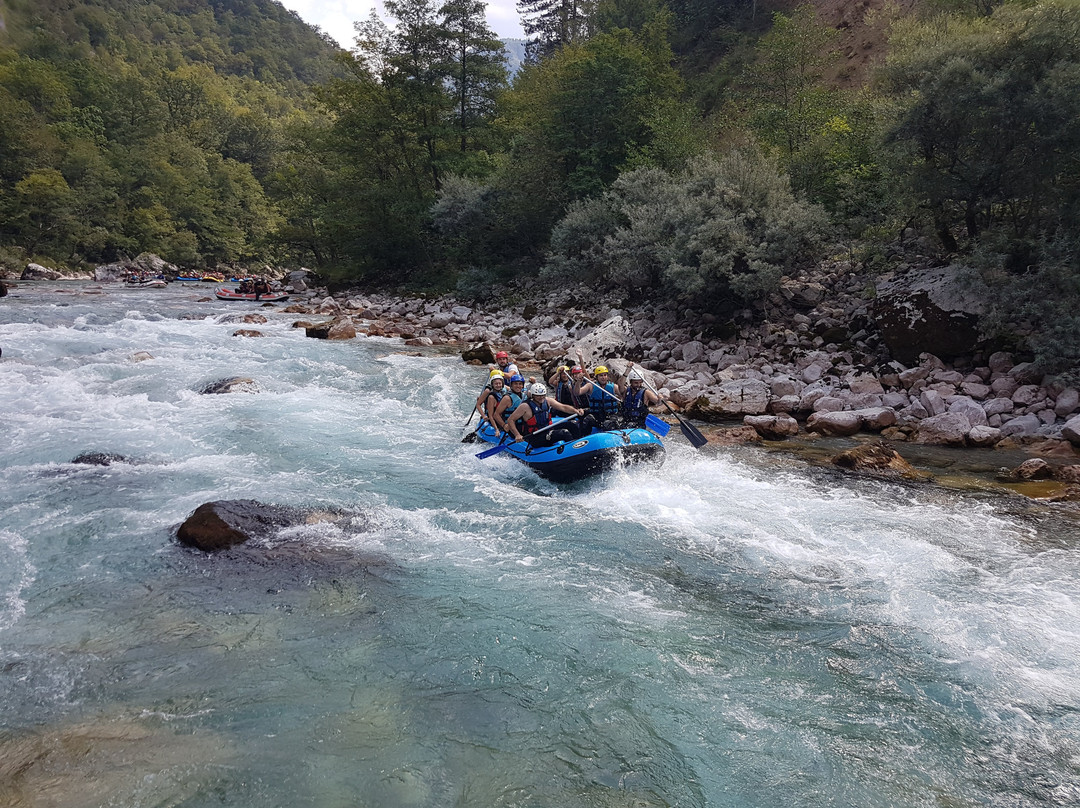 Tara Canyon Raft-Foca必去景点