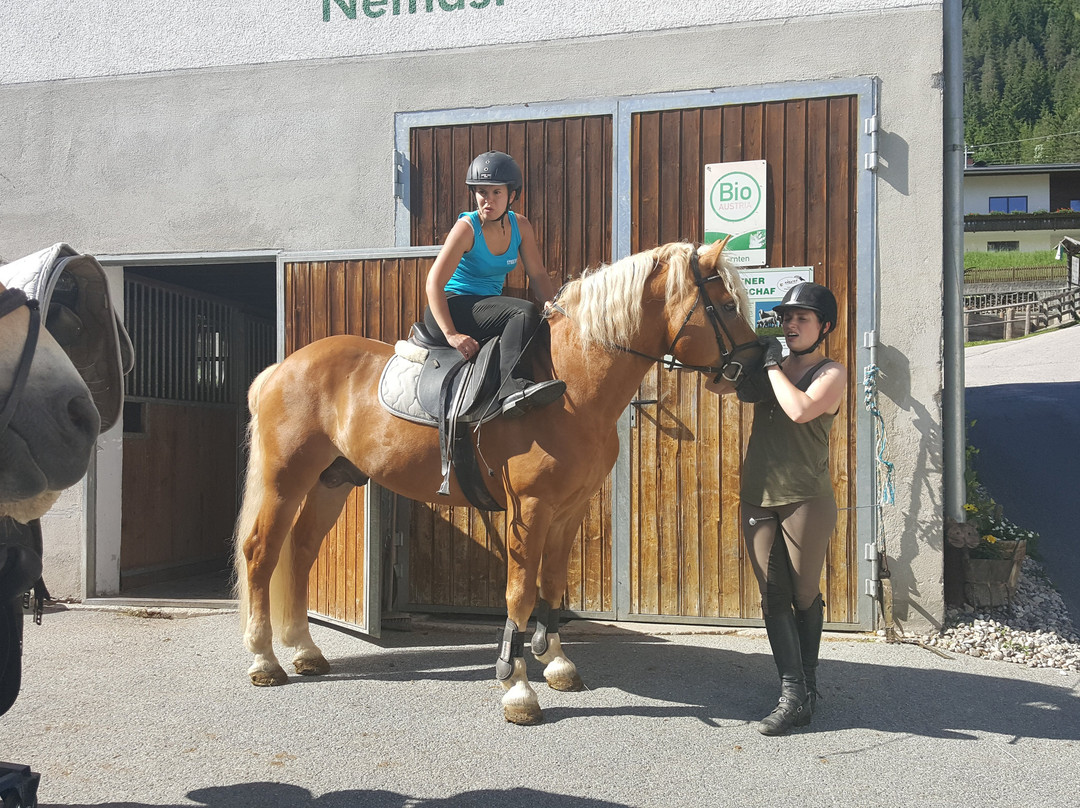 Gastehaus & Reiterhof Nemast主图