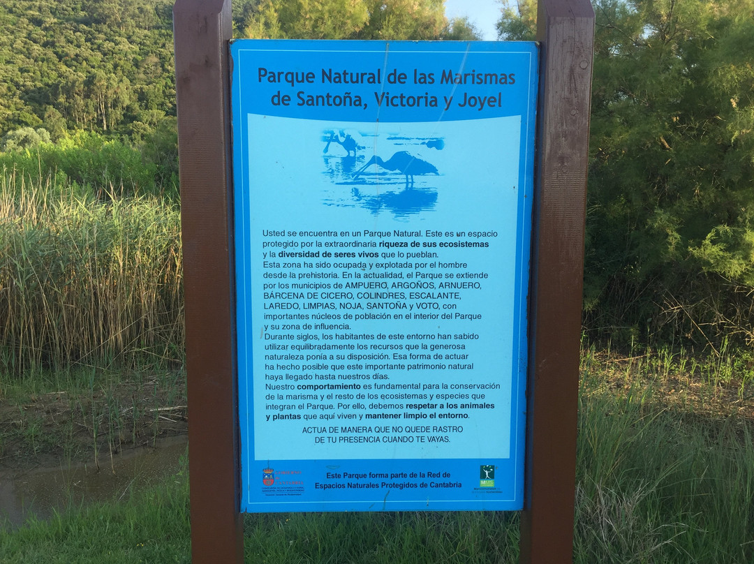 Parque natural de las Marismas de Santona景点图片