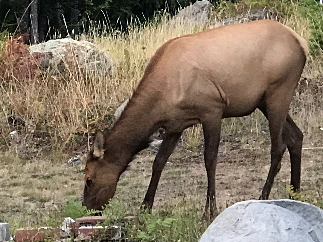 Mountain View Lodge主图