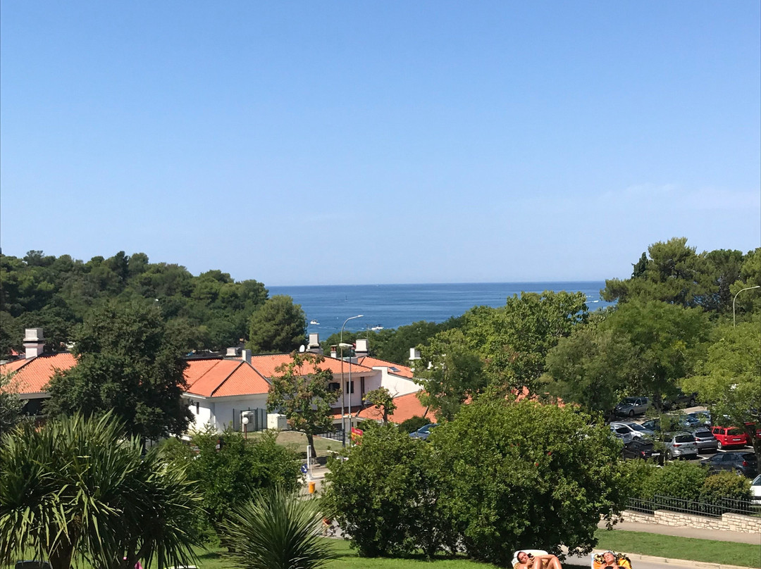 Hotel Albatros Plava Laguna主图