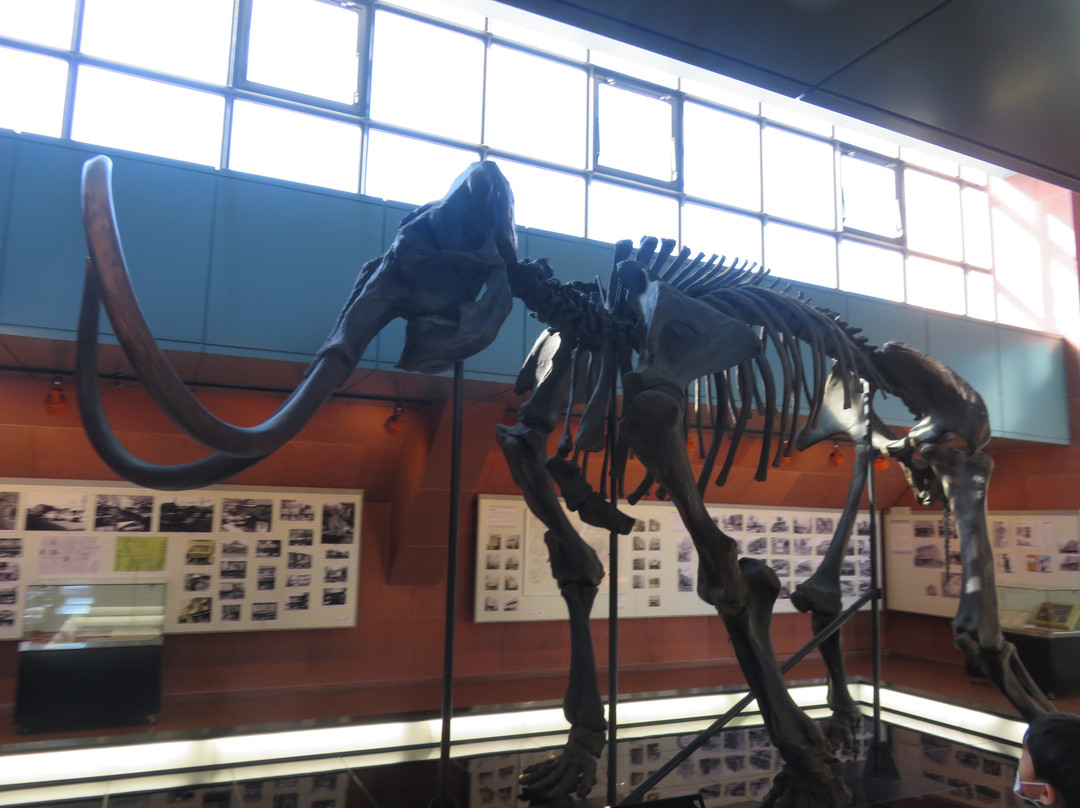 The Kushiro City Museum-钏路市必去景点