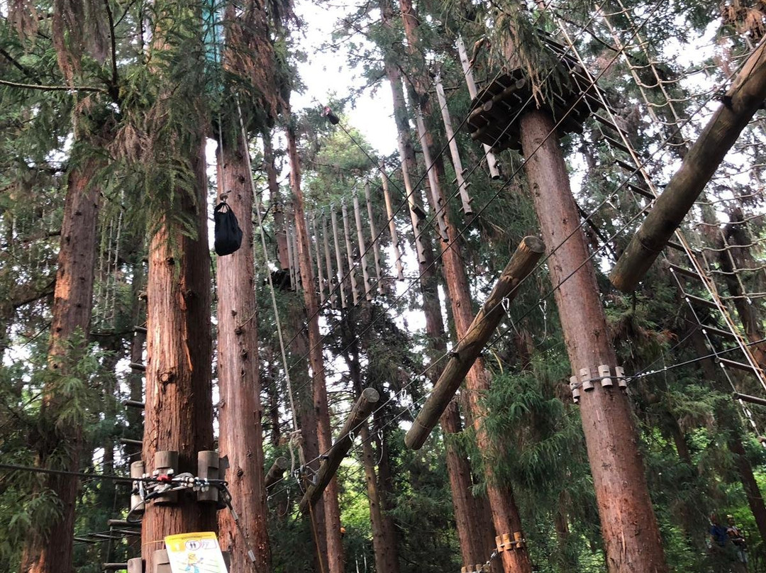 Parco Avventura Tre Querce景点图片