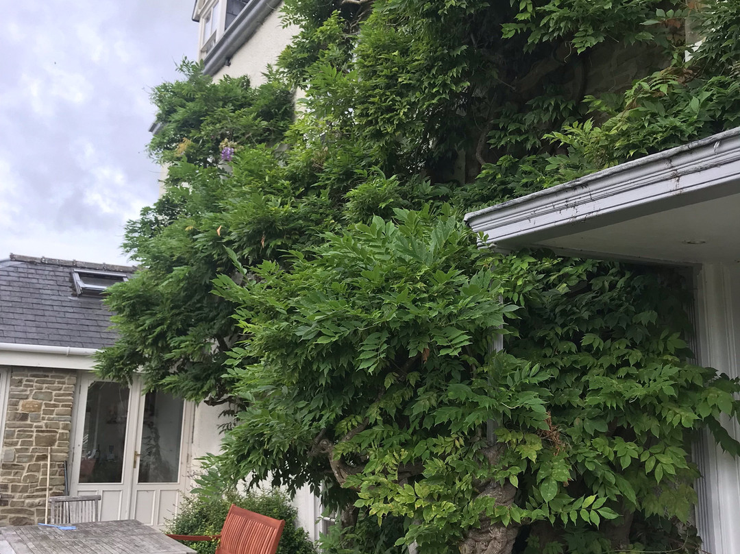 Church House主图
