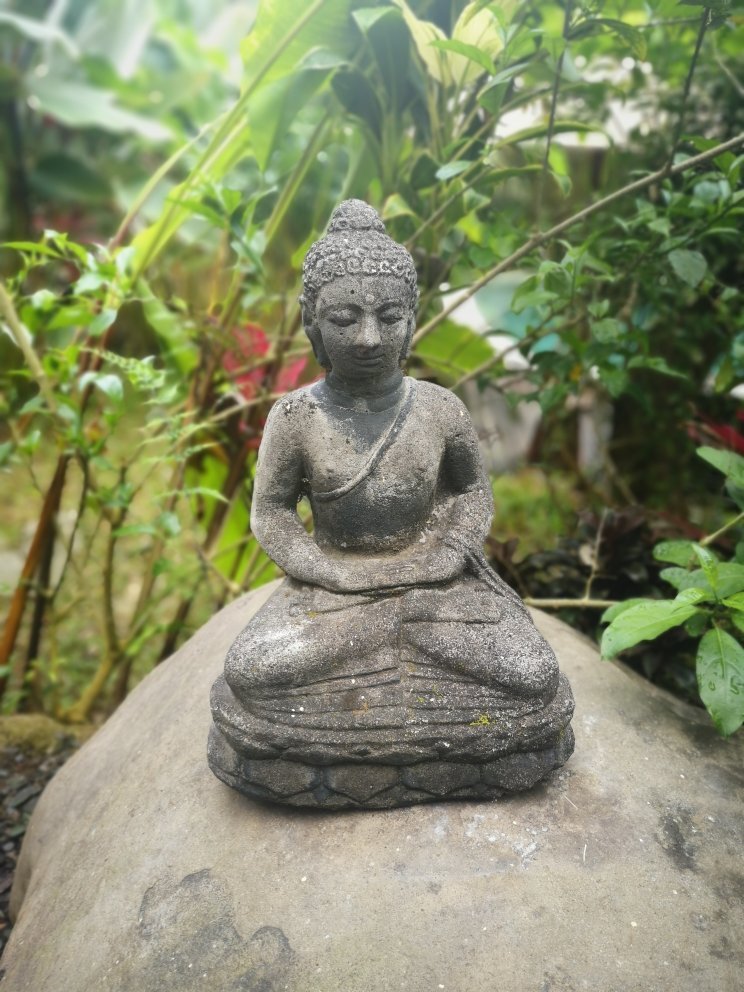 Umah Tis Sebatu-官方