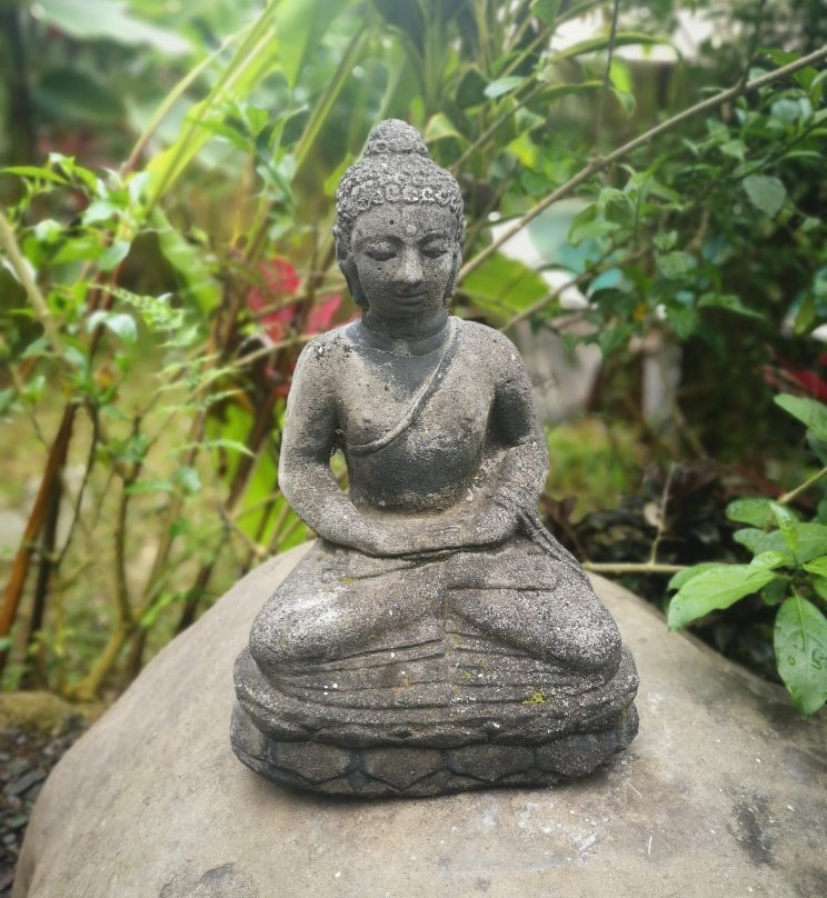 Umah Tis Sebatu主图