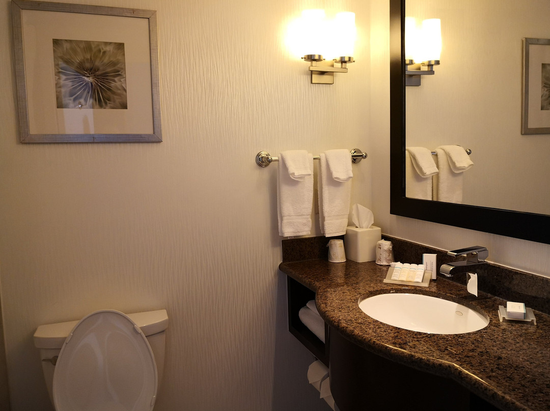 多伦多机场西/米西索加希尔顿花园酒店主图