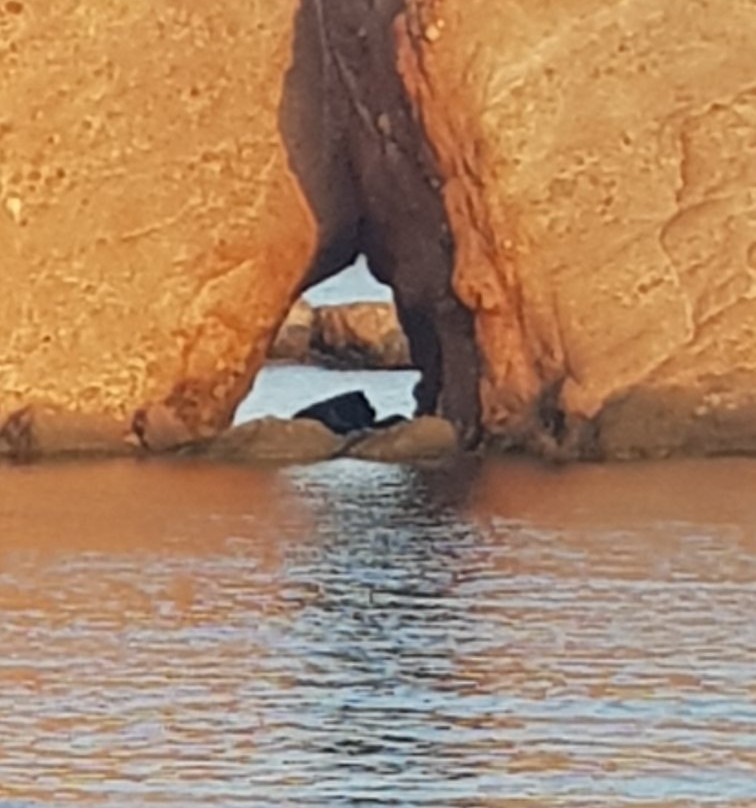 Playa de la Ermita-穆尔西亚马萨龙港必去景点