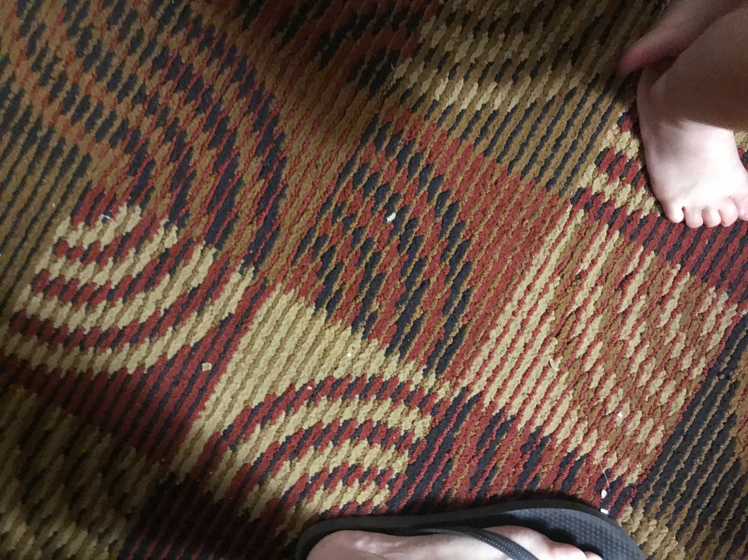 Baymont by Wyndham Plainfield/ Indianapolis Arpt Area主图