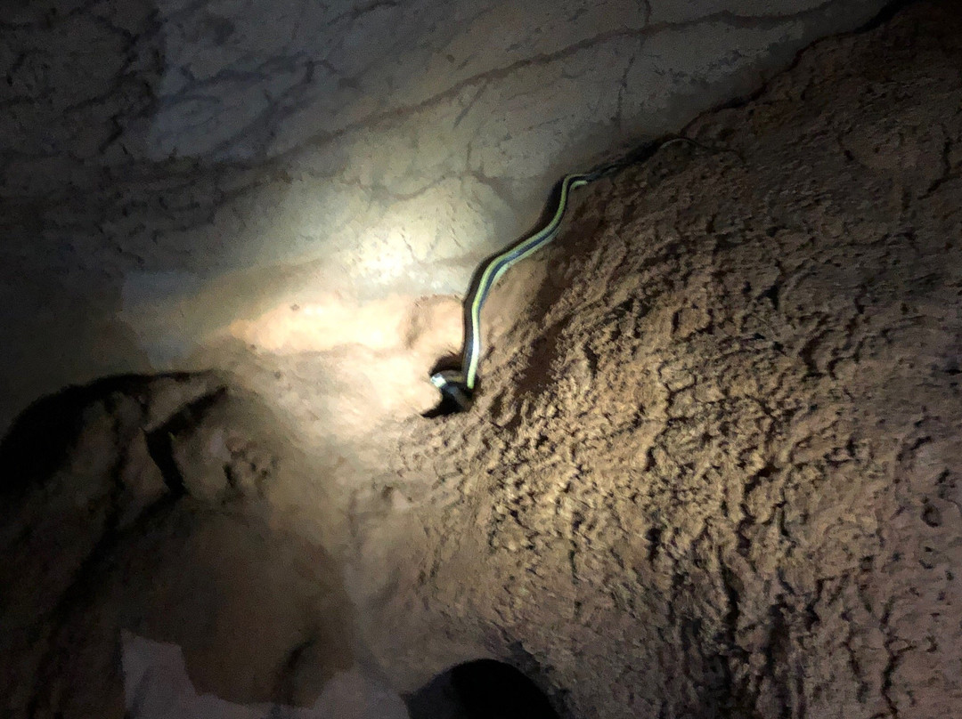 Kurakura Homestay主图