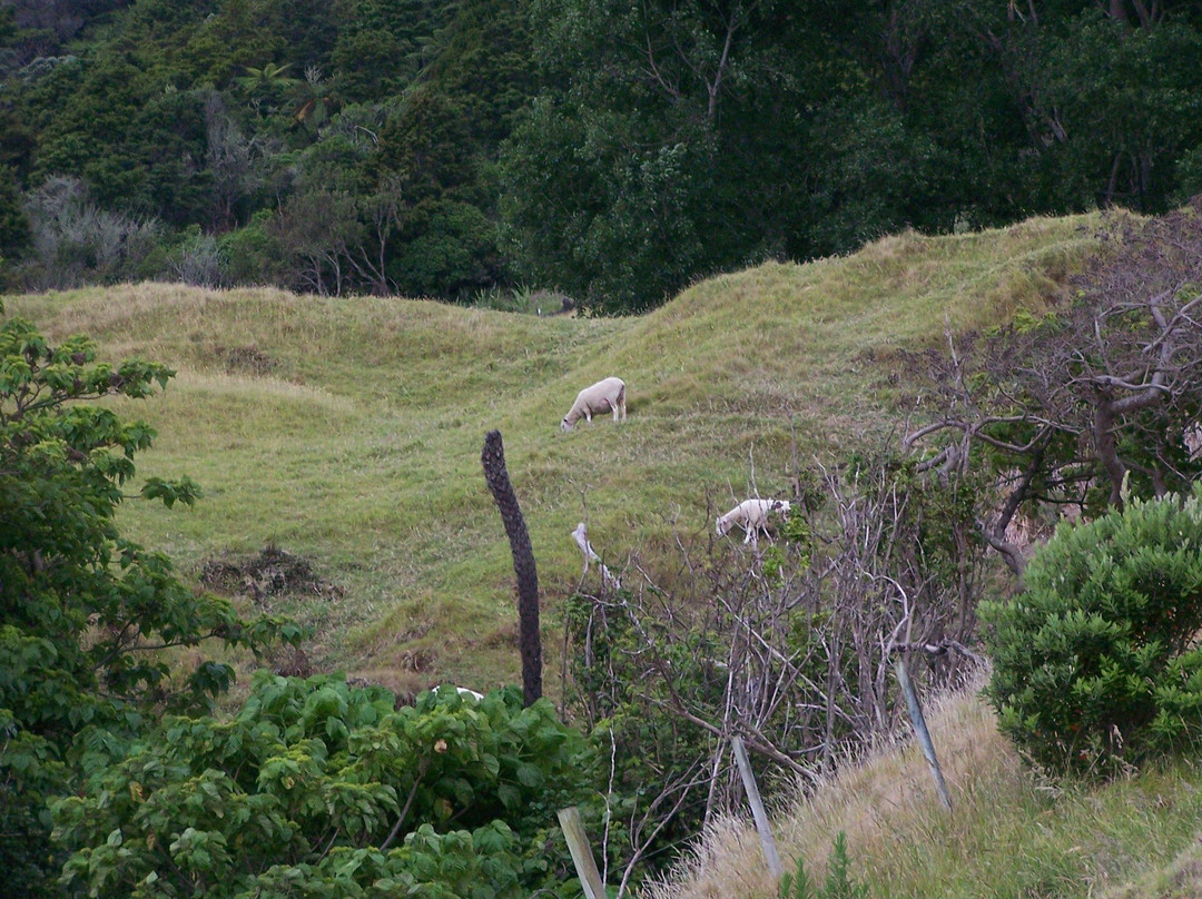Mount Maunganui Base Track景点图片