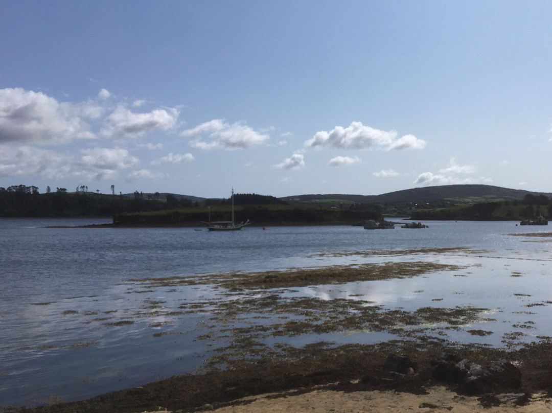 Whiddy Island Ferry-Bantry必去景点